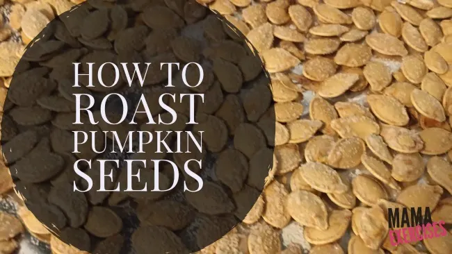 How to Roast Pumpkin Seeds - MamaExercises.com