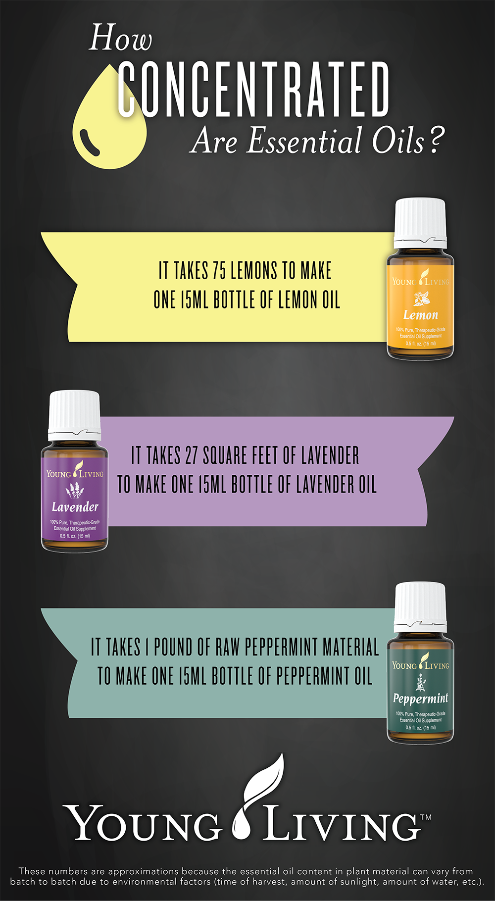 Interesting Facts about Young Living Essential Oils